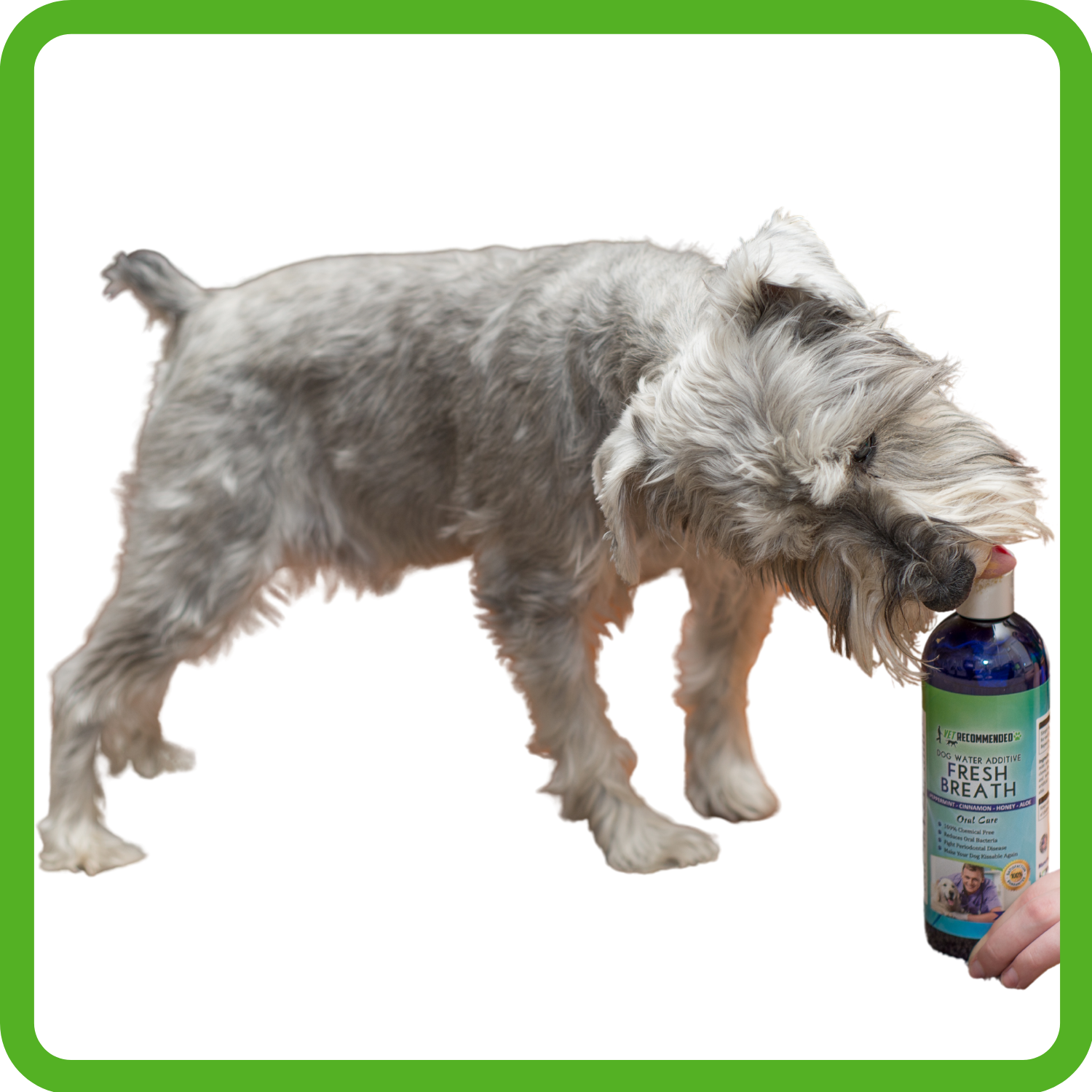Dog Breath Freshener Water Additive — Vet